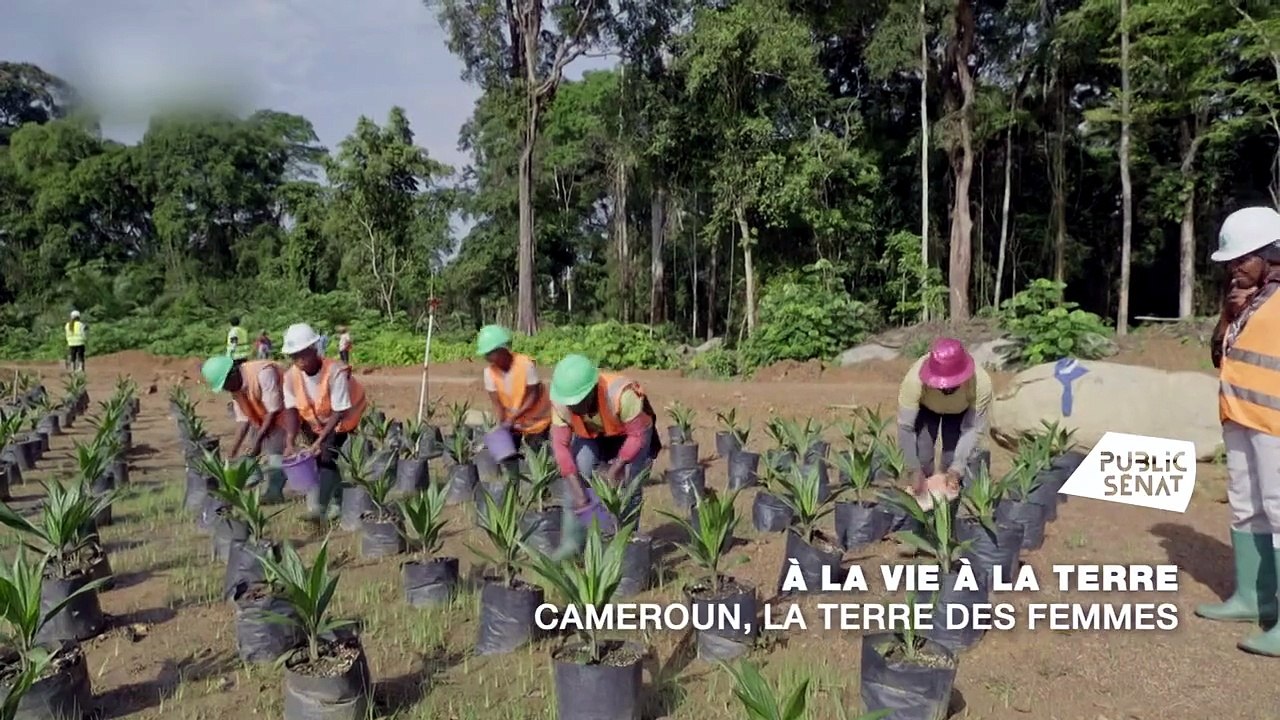 À la vie, à la terre