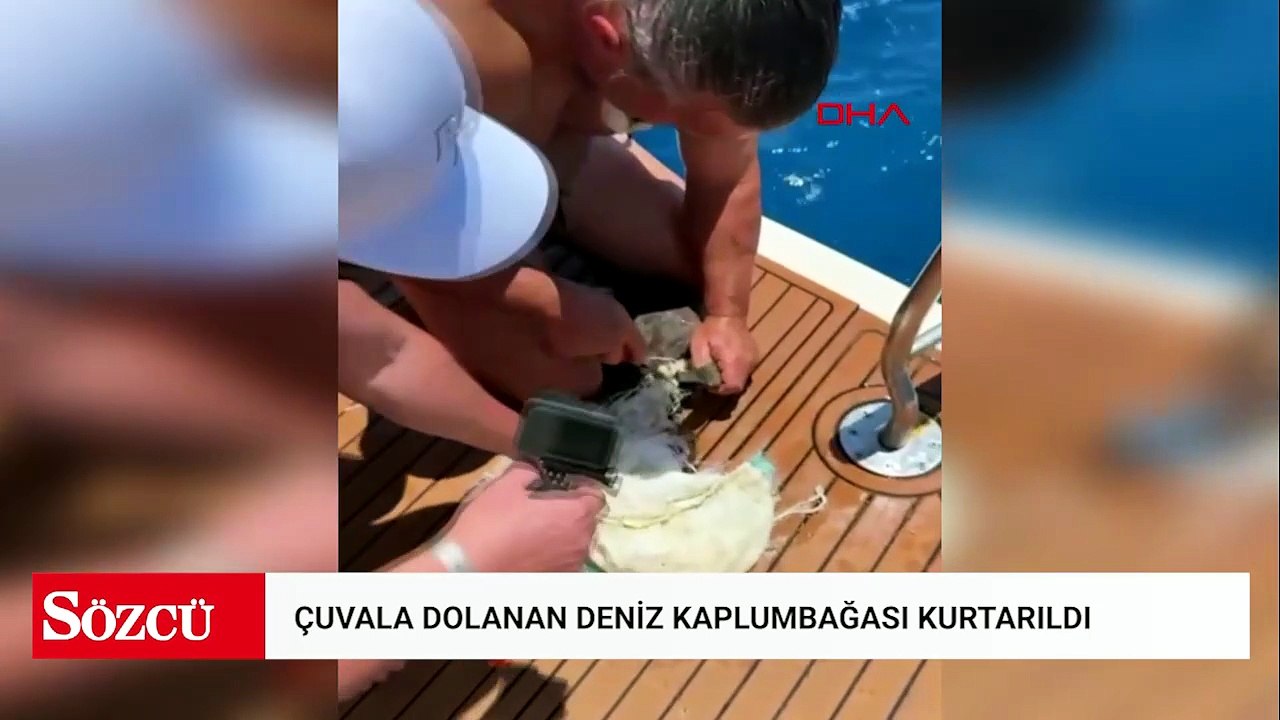 Çuvala dolanan deniz kaplumbağası kurtarıldı