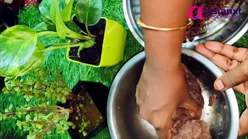 ஸ்வீட் சாப்பிடணுமா? இந்த ராகி பூரண கொழுக்கட்டையை செய்து பாருங்கள் | Healthy Dessert