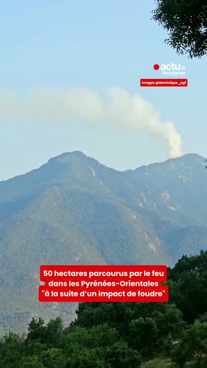 Un feu parcourt 50 hectares à la suite "d'un impact de foudre"