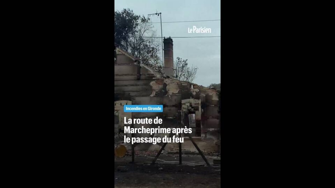 Incendies en Gironde : images de désolation à Marcheprime