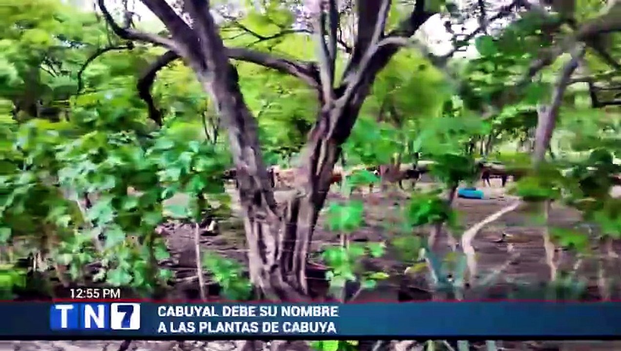 tn7-playa-cabuyal-destino-de-guanacaste-cuya-zona-maritimo-terrestre-fue-reclamada-220726 [Full Movie]