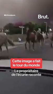 Elle raconte l'évacuation des chevaux de Biscarrosse
