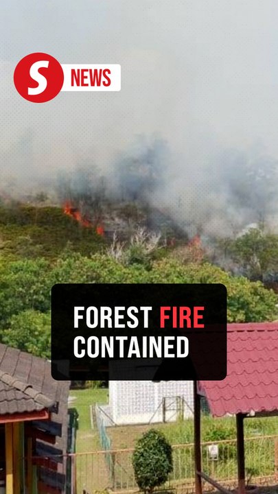 Two-acre forest fire in Bandar Puncak Alam under control
