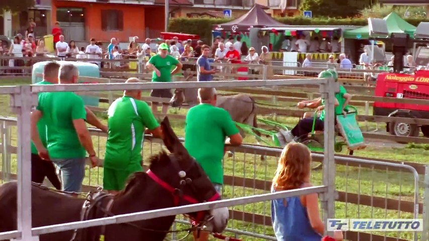 Video News - Asini pronti a correre ai Novagli
