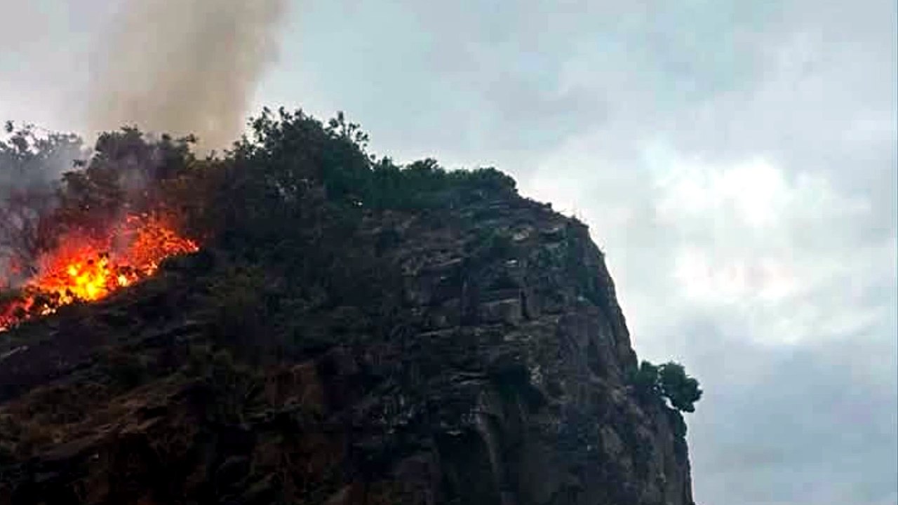 Major wildfire averted in Saundersfoot as disposable BBQ sparks incident