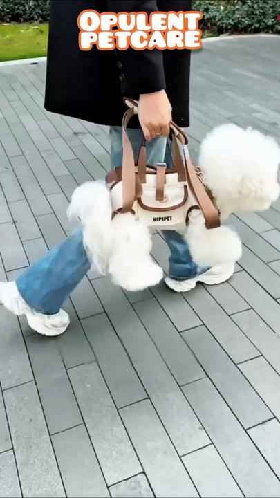 Portable Crossbody Dog Carrier – Hands-Free Pet Bag for Small Dogs & Cats 🐾