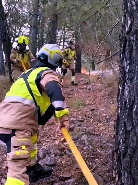 Varios incendios afrontan las horas más críticas para su extinción en la península.