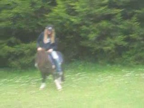 Pawnee croise pattes monté