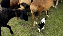 First day at work