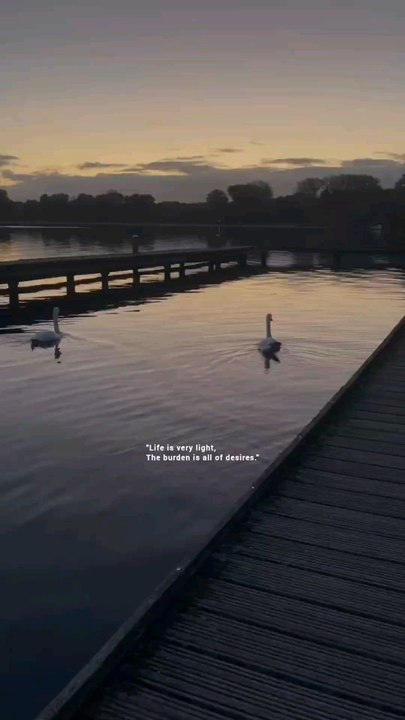 Life is very light.