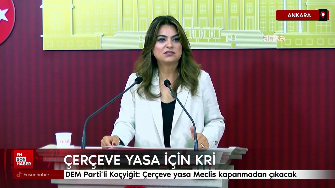 DEM Parti'li Koçyiğit: Çerçeve yasa Meclis kapanmadan çıkacak