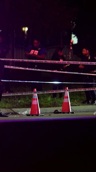 NYC Man Beaten to Death With Baseball Bat in Ro...