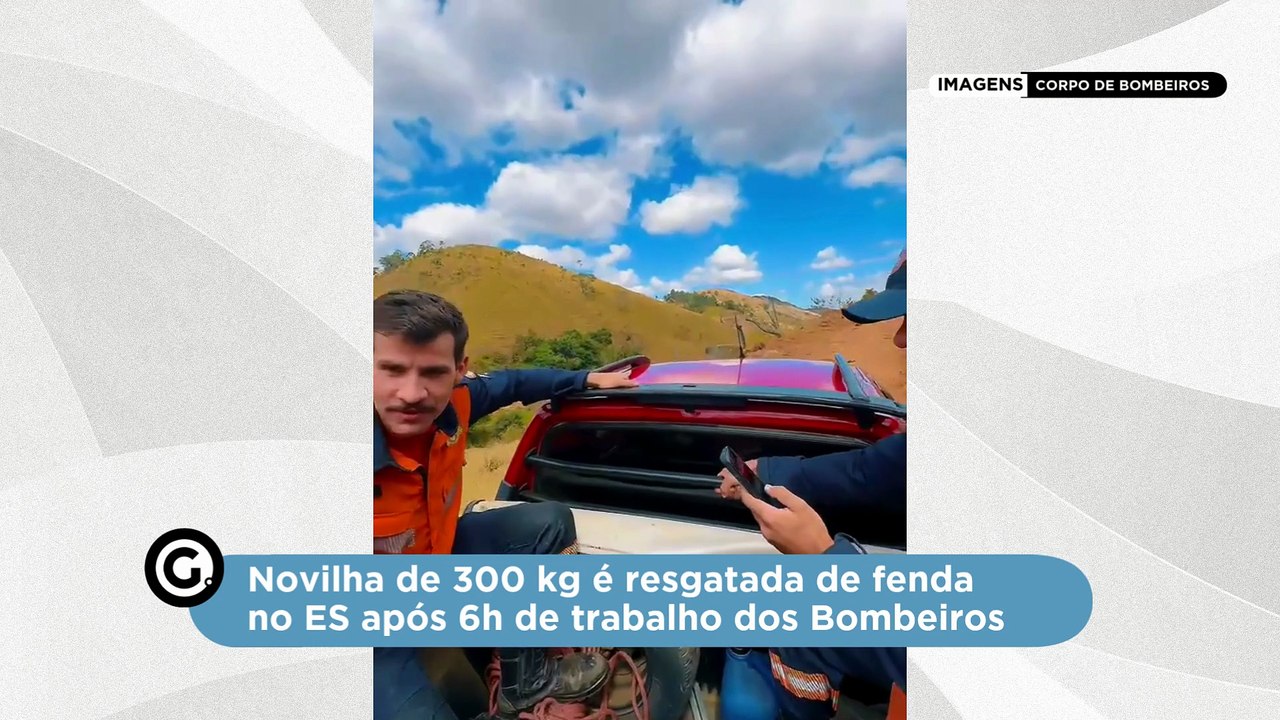 Novilha de 300 kg é resgatada de fenda no ES após 6h de trabalho dos Bombeiros