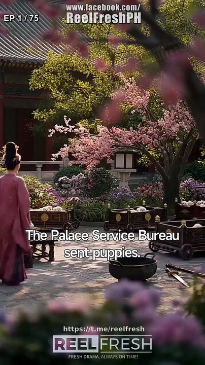 Woof, Your Majesty Be My Forever - (2026)  FULL EP