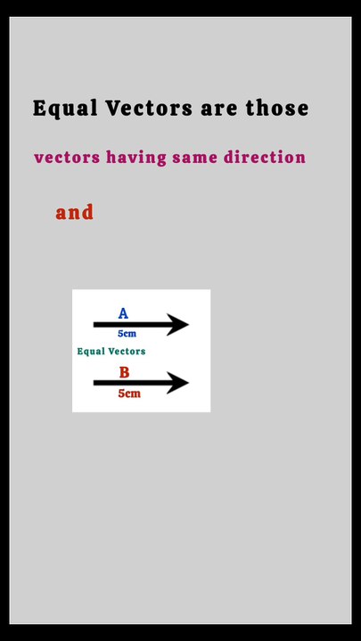 Can parallel vectors be equal vectors ?