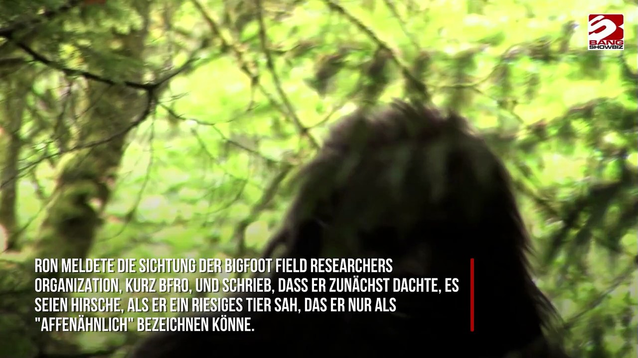 Jäger entdeckt angeblich 'riesiges, grunzendes, affenähnliches Tier', das durch einen Sumpf watet