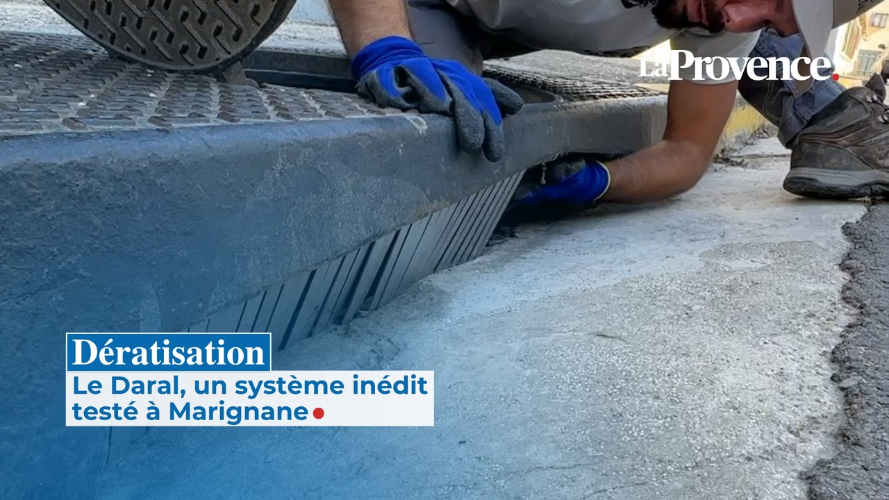 Dératisation : le Daral, un système inédit testé à Marignane