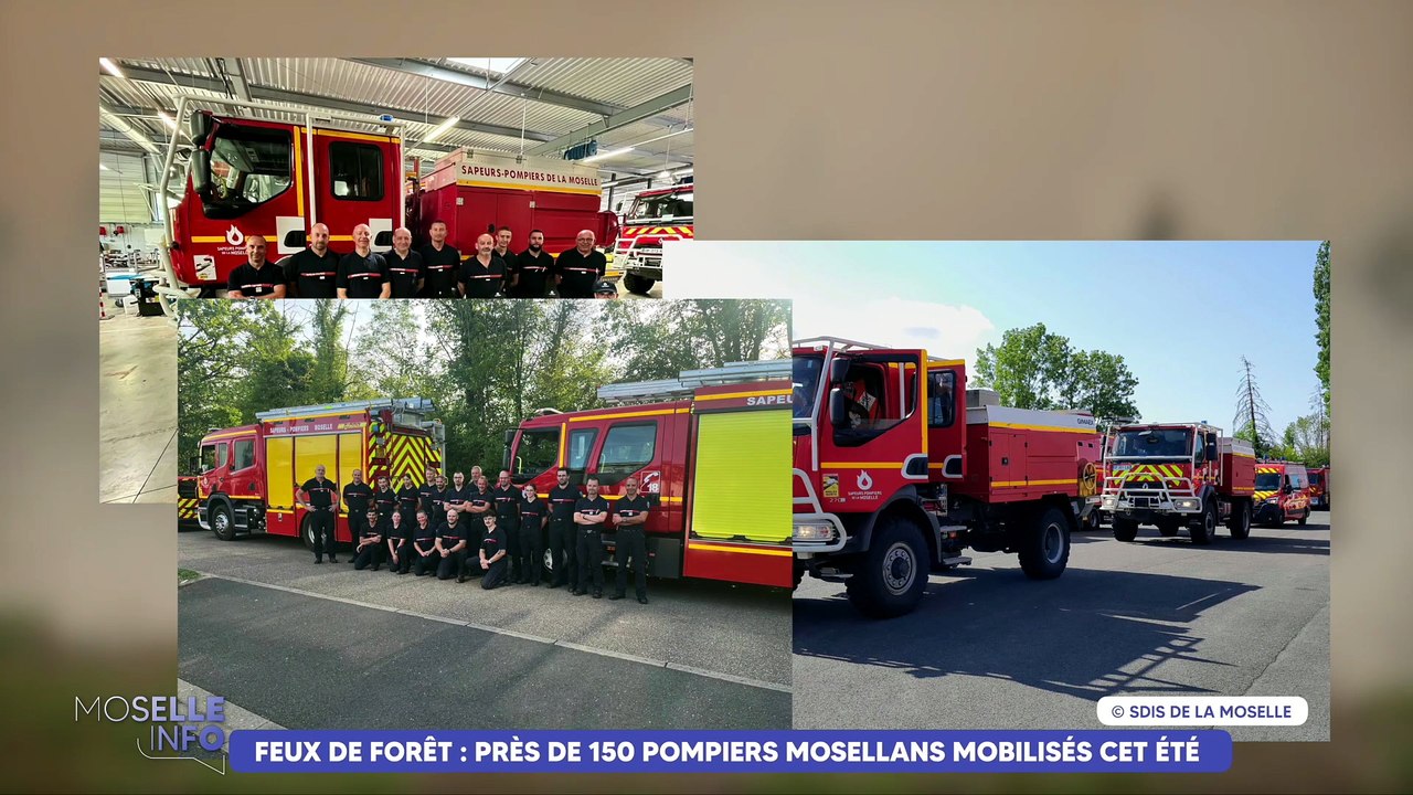 Feux de forêt : près de 150 sapeurs-pompiers mosellans mobilisés partout en France depuis début juillet