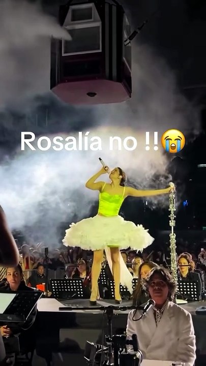 Rosalia hizo enojar a todo Chile: la tremena frase por la que piden cancelarla