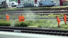 Workers Dance While Cutting Grass