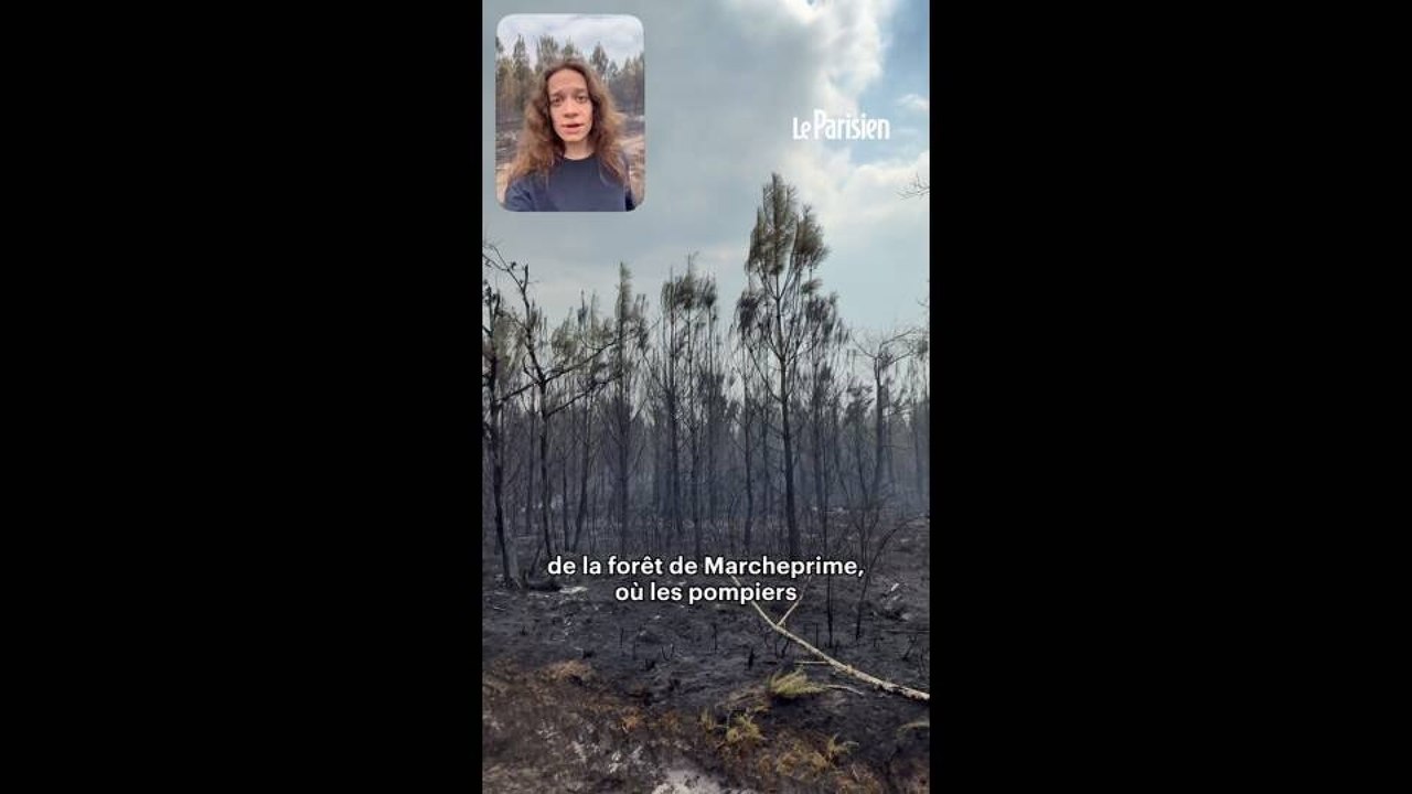 « Ce qui marque, c'est l'odeur et le silence » : les images de la forêt de Marcheprime brûlée