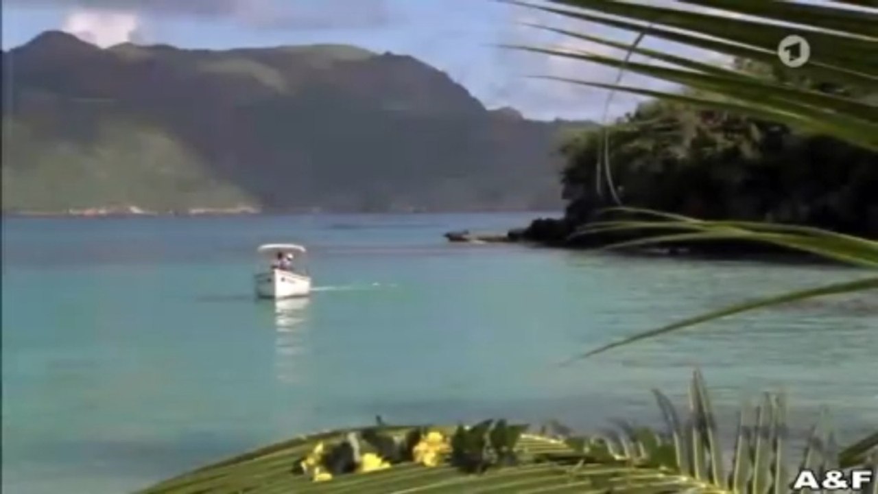Das Traumhotel -16- Tobago