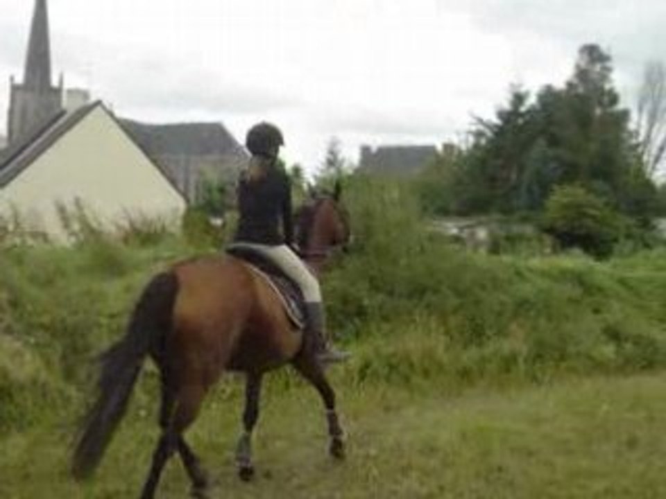 Morgane Miraline