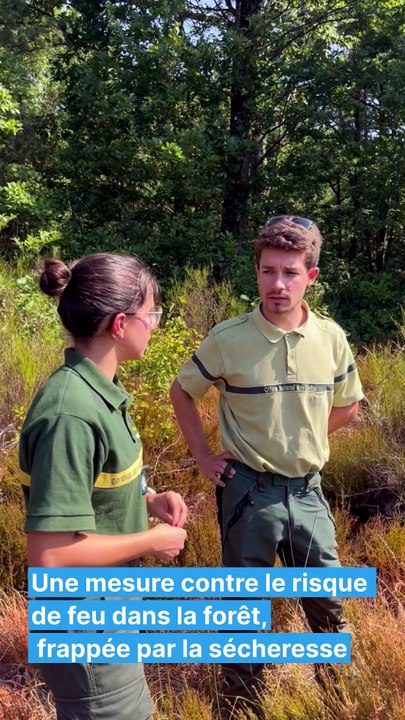 L'ONF très attentif au comportement du public en forêt domaniale d'Orléans, dans un contexte de grande sécheresse