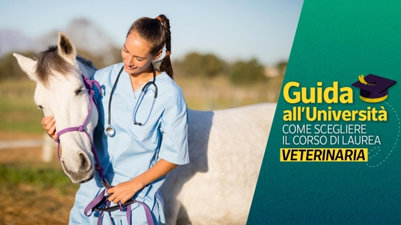 Studiare Veterinaria: prevenire e trattare le patologie degli animali per la salute dell'uomo