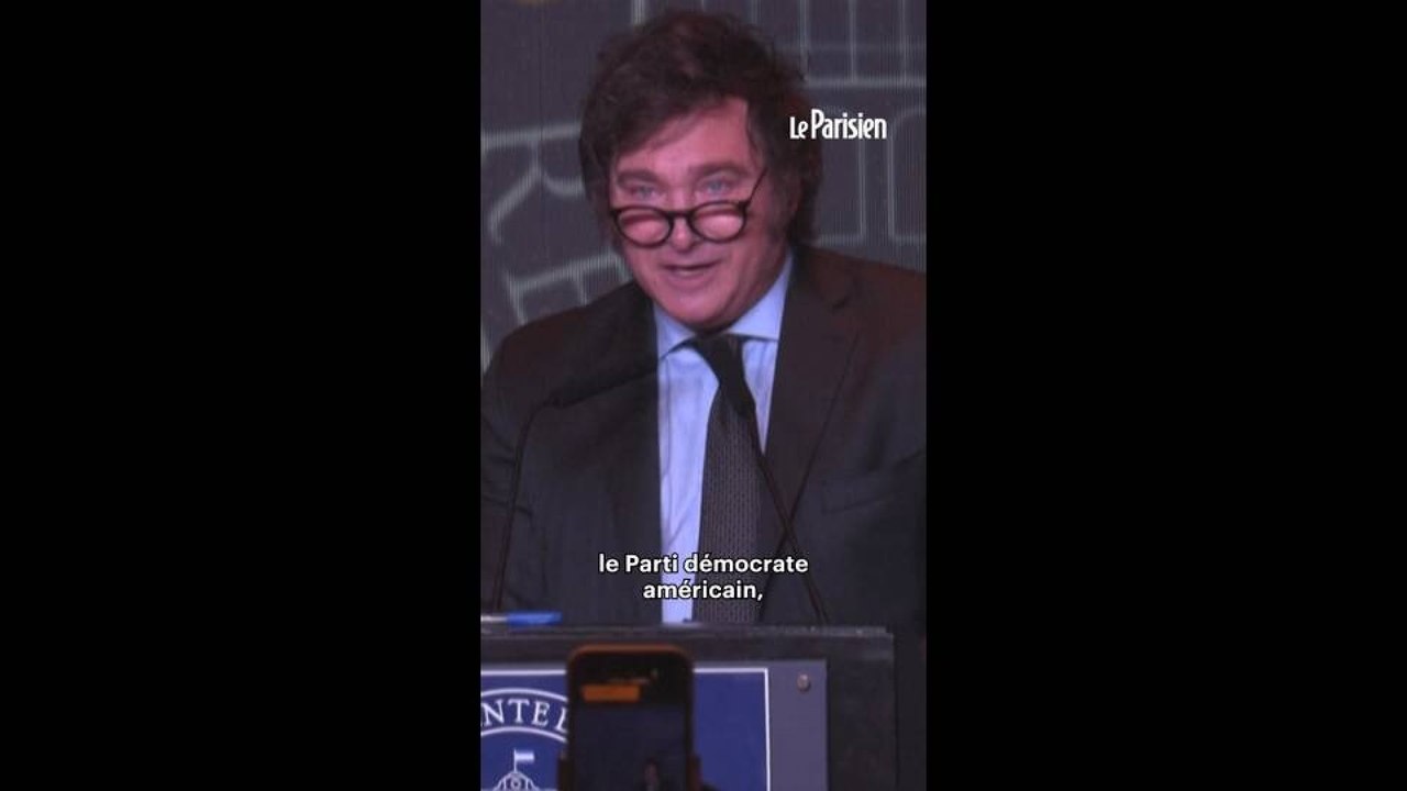 Javier Milei accuse le Brésil d'avoir financé une « campagne anti-Argentine »