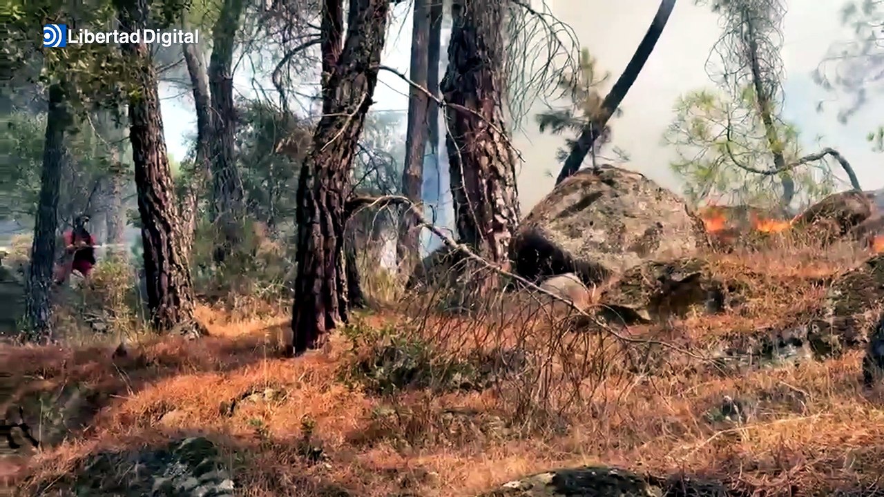 Ataque directo contra el fuego en Sotillo de la Adrada (Ávila)
