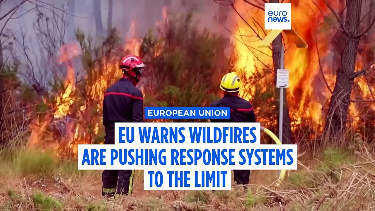 'Out of capacity’: EU warns wildfires are pushing response systems to the limit