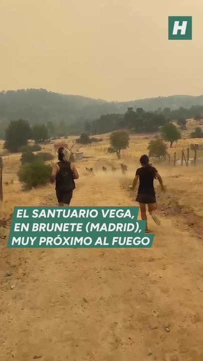 La otra cara del incendio: proteger a quienes no pueden huir