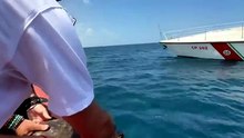 Due tartarughe marine liberate a largo di Bari - Two sea turtles released off the coast of Bari