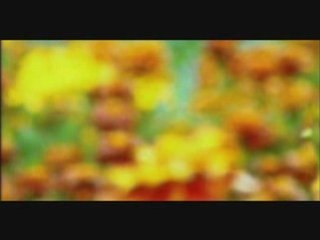 Nacionalen Himn na Republika Bulgaria