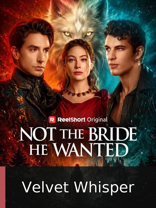 Not the Bride He Wanted | Velvet Whisper