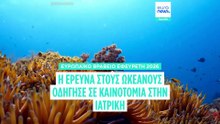 Ειδήσεις | 27 Ιουλίου 2026 - Βραδινό δελτίο