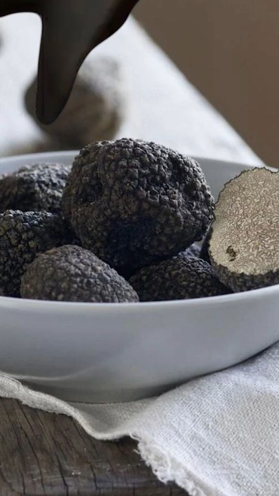 Les gens qui aiment la truffe....
