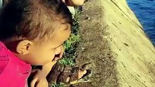 سمك السلور المعروف باسم (الجرّي) يغزو البيئة المائية العراقية، فما السبب؟