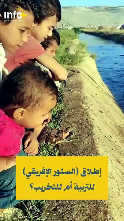 سمك السلور المعروف باسم (الجرّي) يغزو البيئة المائية العراقية، فما السبب؟