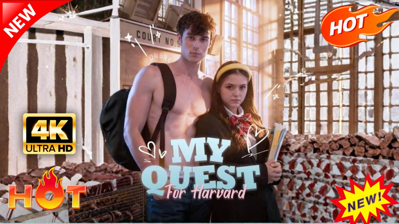 my quest for harvard | Hot Drama Full Eng Sub