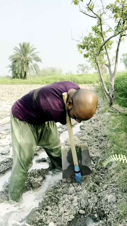 Why do people give up? Look at him. He never gave up in his life. Encouragement for you.