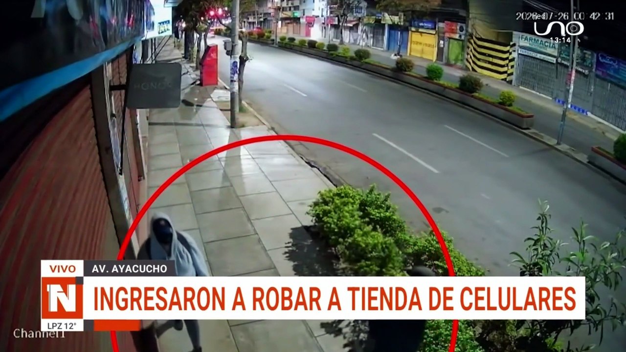 robo tienda celulares