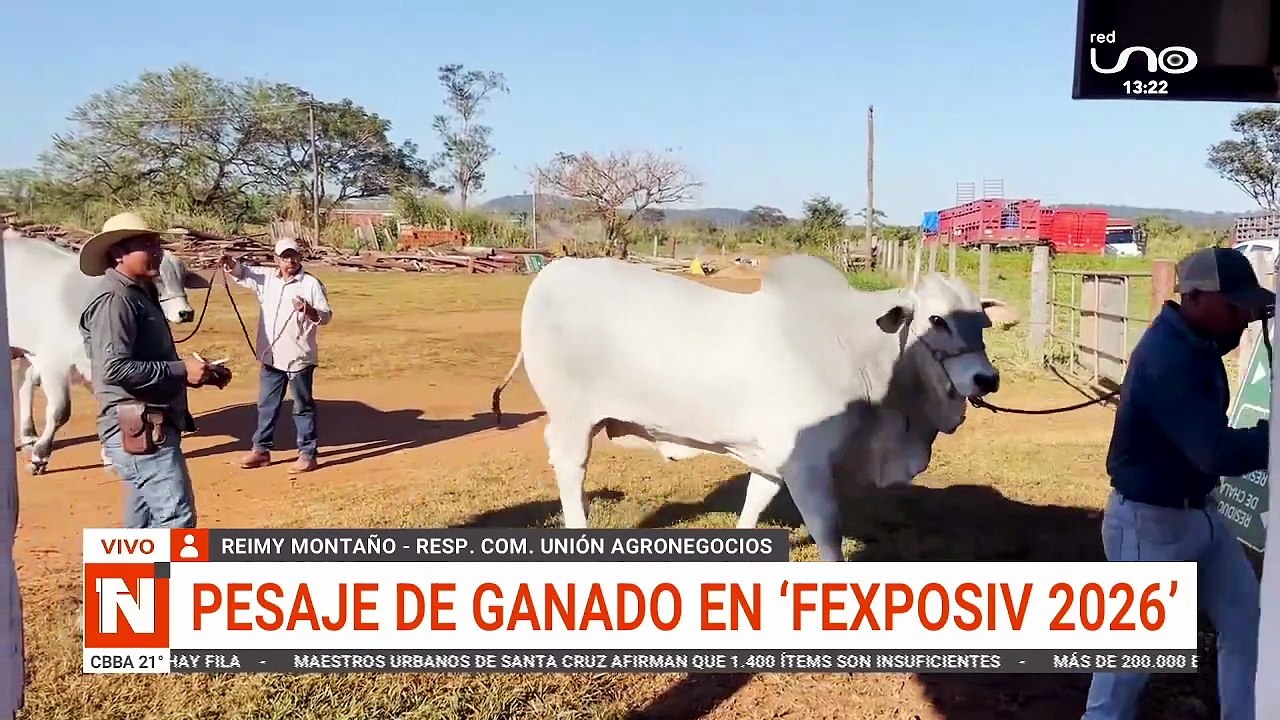 PESAJE DE GANADO EN ´FEXPOSIV 2026´