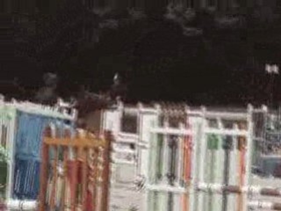 Perelan Ar Park-CSO 5ans A-Le Lion d'Angers CIR 2008-07-7