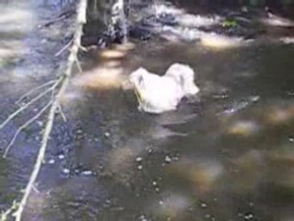 j'aime l'eau