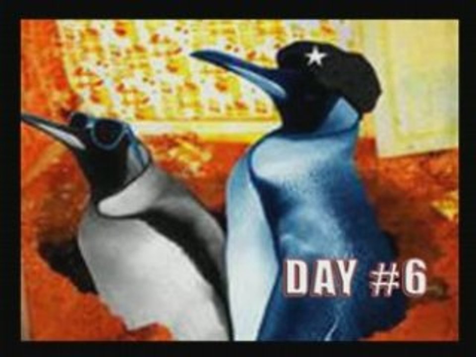 Festival fifi day 6 2008 cloture remise prix