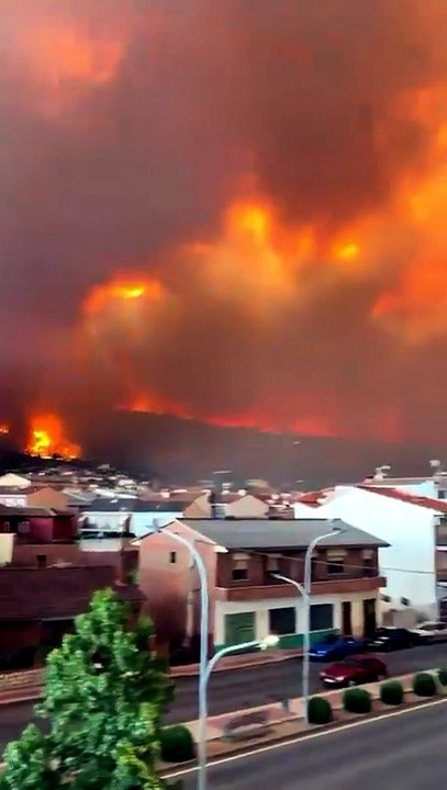 Europa enfrenta una ola histórica de incendios: ya arrasó más de 119.000 hectáreas y obligó a evacuar a 330.000 personas