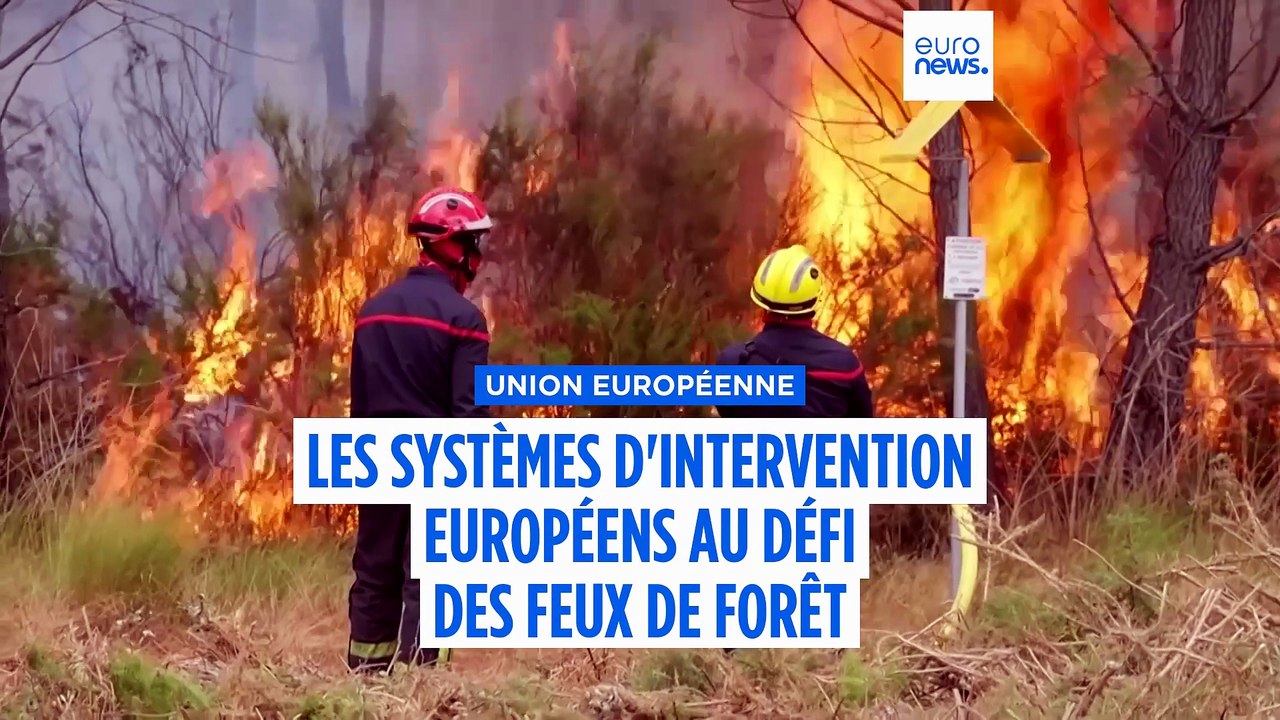 L'Union européenne au défi des incendies de forêt de plus en plus violents